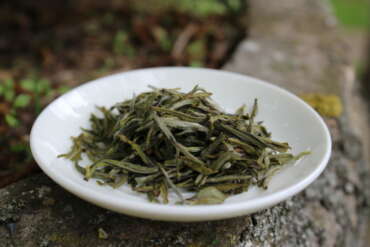 Junshan Yin Zhen Mei Leaf tea adventures