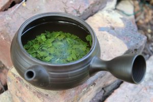 Yakushima Sencha Nio Teas Tea Adventures