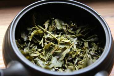 Darjeeling Gopaldhara Sencha Tea Tasting (Curious Tea)