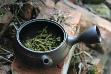 Green Tea Kilimanjaro Tea Tasting (Tropical Treasures Ltd.)
