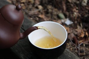 red water oolong the tea guru tea adventures