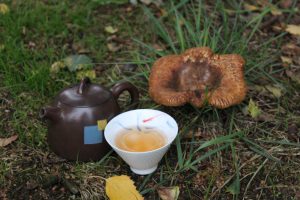 ZSL wa long Tea Encounter Tea Adventures