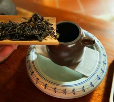 Bai Yin Shan Yesheng Tea Tasting (Tea Enounter)