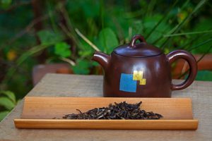 2013 Chen Xi Hao Gao Shan Zhai Tea Encounter Tea Adventures