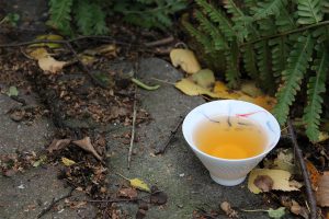 best teas of 2019 Tea Adventures