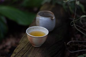 2019 Singularity Spring Gushu essence of tea Tea Adventures