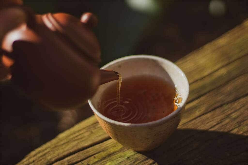 2010 Yiwu Ancient Trail ANMO Tea Adventures