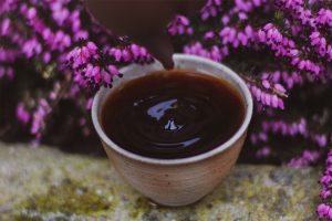 2015 Liubao Shu Cha Moychay Tea Adventures