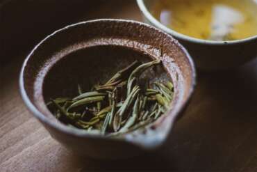 Guangxi Silver Needle Tea Tasting (Mei Leaf)