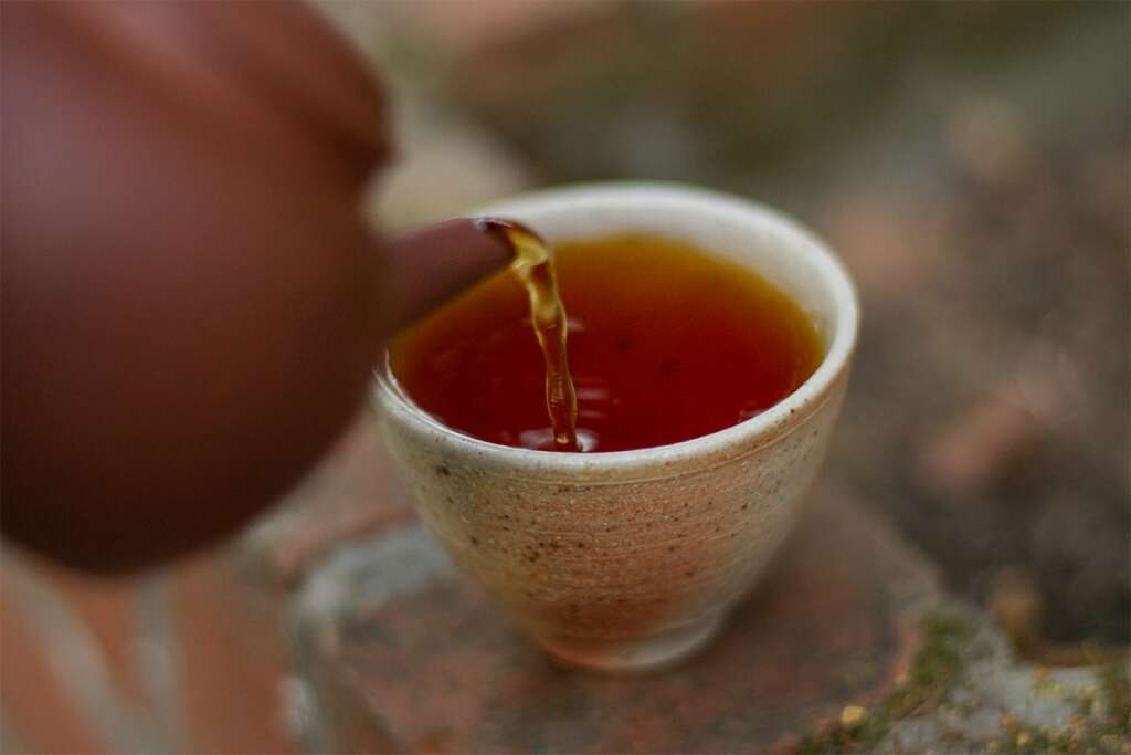 Jin Jun Mei tea Joint Tea Adventures