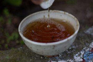 Tie Luo han ANMO tea Adventures