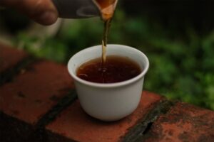 2010 Zhong Cha Duoteli Liu Bao Lao Tea Shop Tea Adventures