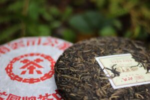 Buy Puerh Tea Tea Adventures