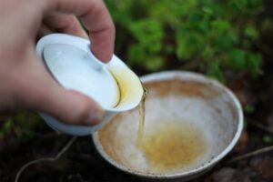 Huang Mei Gui Teasenz Tea Adventures