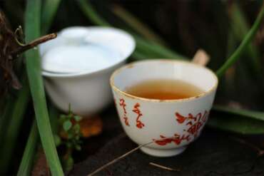 Rou Gui Tea Tasting (Teasenz)