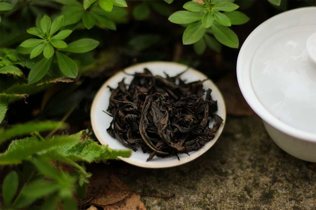 Da Hong Pao Teasenz Tea Adventures