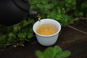 2019 ZSL Autumn Yibang Ma Li Shu Tea Encounter Tea Adventures