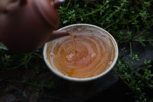2006 Liming TF Ba Jiao Ting Tuocha Lao Tea Shop Tea Adventures