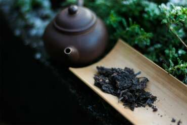 2007 Aged Aroma Puerh Yee on Tea Tea Adventures