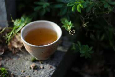 2020 Spring Hua Ji Dan Cong Tea tasting (EoT)