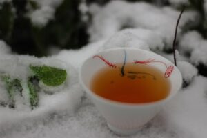 2007 Lan Ting Chun Yo Ji Cha