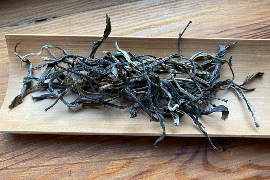 2020 Yiwu Yao Zhu Di Essence of Tea Tea Adventures