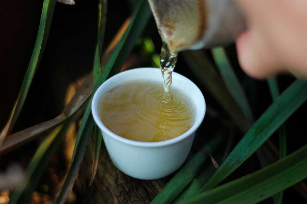 2020 Yiwu Yao Zhu Di Essence of Tea Tea Adventures