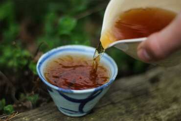 2017 Hou Qinqiang Fu Zhuan Tea Tasting (Tea Joint)