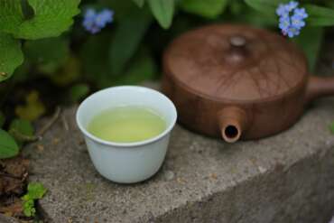Sencha Saemidori Kagoshima Tea Tasting (ANMO)