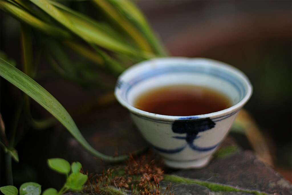 Naamloos-1.jpgWhere does tea come from? Tea Adventures
