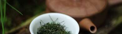 Handpicked Honyama Sencha Teamania Tea Adventures