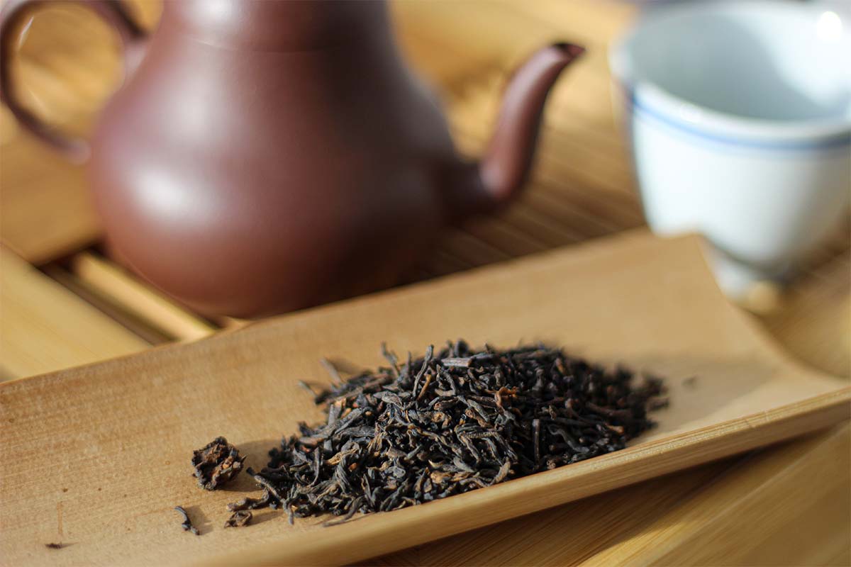 Silent Hymn Liu Bao Tea Tasting (Leaves with Hugs)